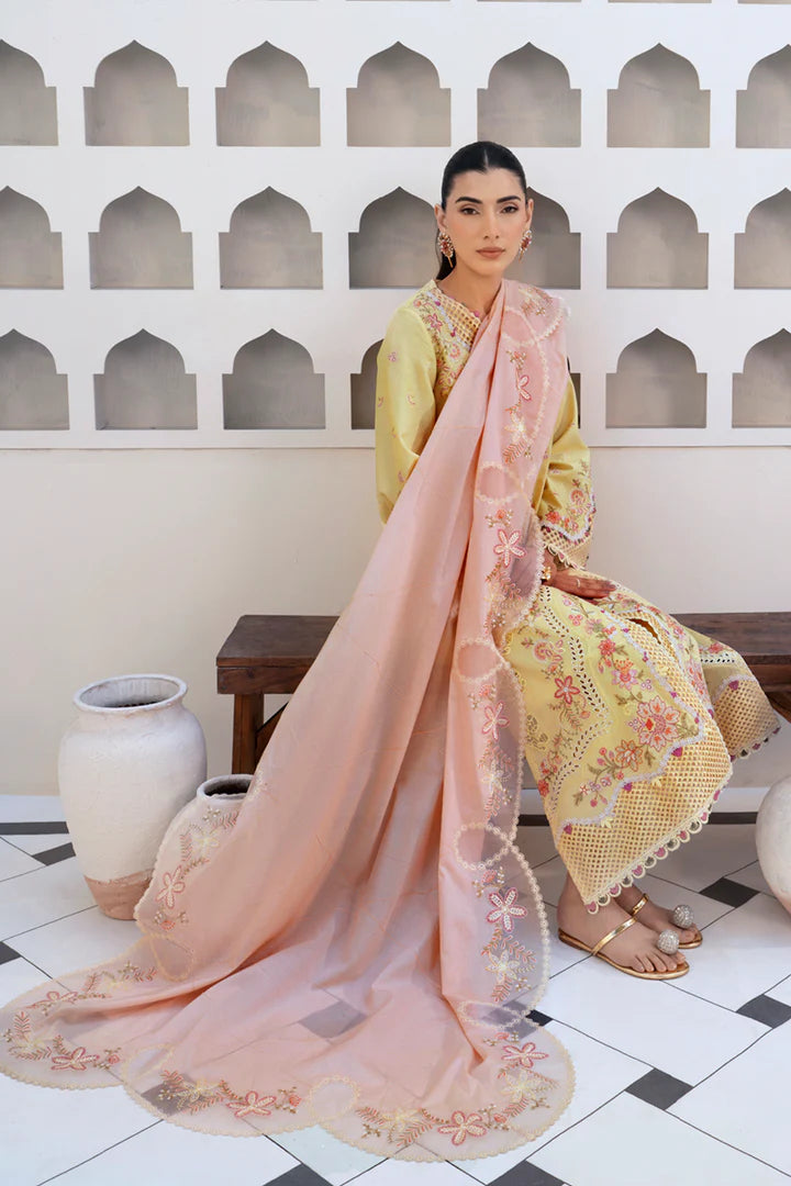 Qalamkar QLine Lawn’25 - Ina (3pc)