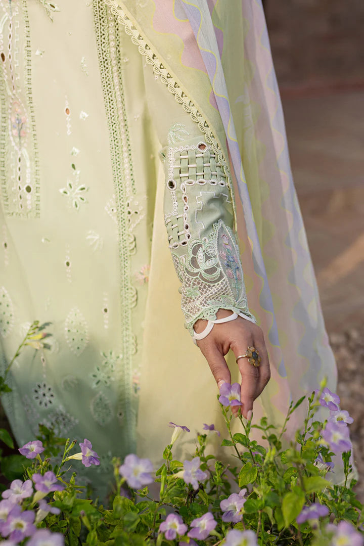 Qalamkar QLine Lawn’25 - Maia (3pc)